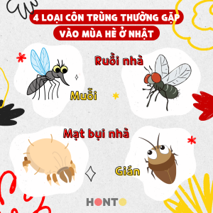 4 loại côn trùng thường gặp vào mùa hè ở Nhật