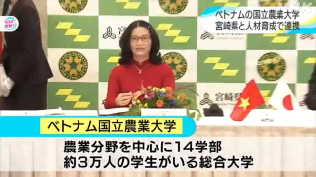 Tỉnh Miyazaki hợp tác với Học viện Nông nghiệp Việt Nam. Ảnh: NHK